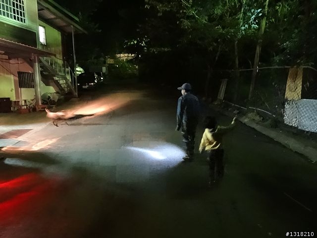 親子旅遊-鹿場部落