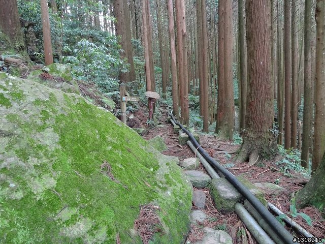 親子旅遊-鹿場部落