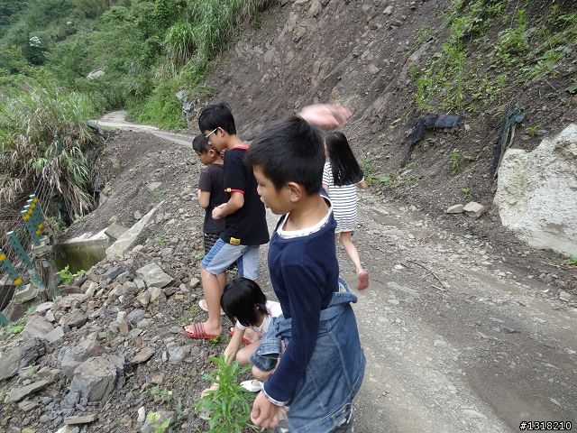 親子旅遊-鹿湖部落產業道路