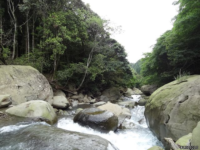 親子旅遊-鹿場部落