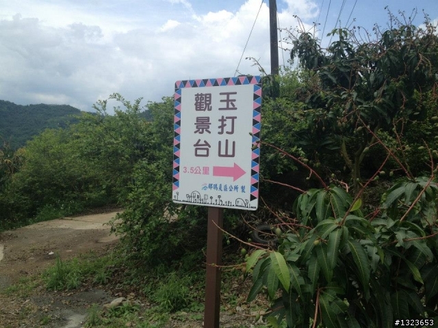 1030512 那瑪夏 青山 大埔環線 騎乘里數:185公里