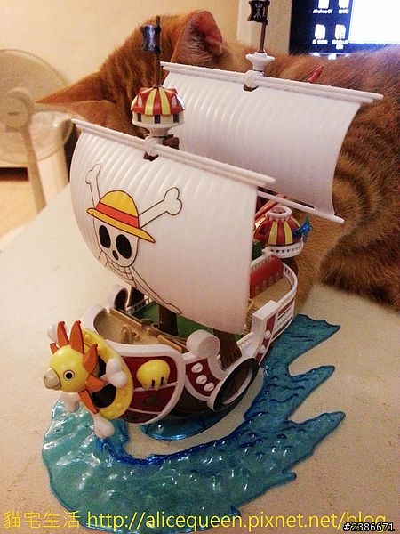 模型|海賊王 千陽號! 小小隻的可是也好可愛!!!!!