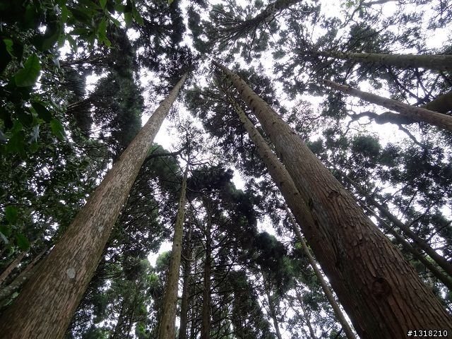 親子旅遊-鹿場部落