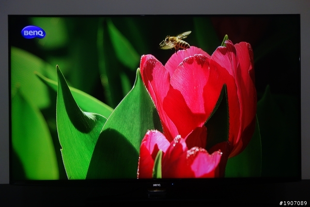 BenQ 50RW6500「鮮明原色‧絢彩呈現」進入極窄邊框高畫質大視界!