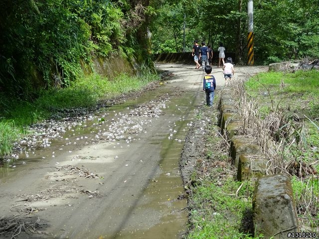 親子旅遊-鹿湖部落產業道路