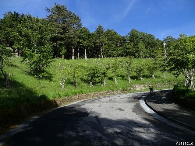 親子旅遊-向陽森林遊樂區(2)