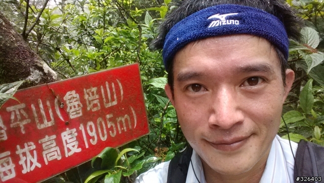 南插、魯培一日遊