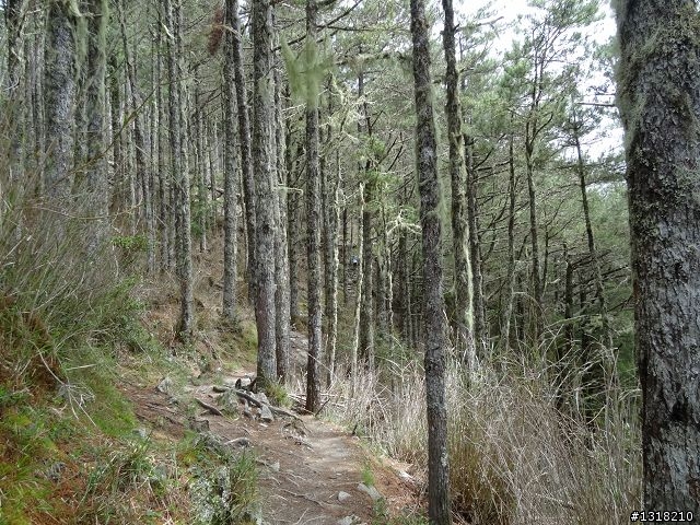 親子旅遊-向陽森林遊樂區(2)