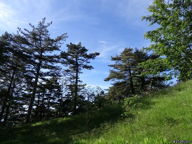 親子旅遊-向陽森林遊樂區(2)