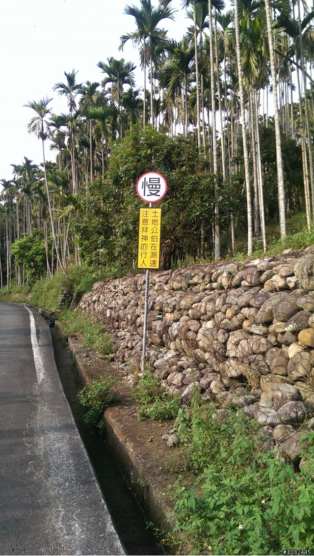 一個人的旅行-新竹直達台中大二元