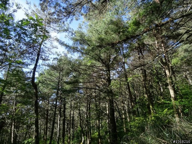 親子旅遊-向陽森林遊樂區(2)