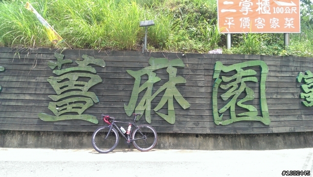 一個人的旅行-新竹直達台中大二元