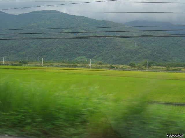 SKODA 試駕