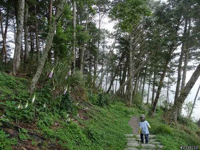 親子旅遊-向陽森林遊樂區(2)