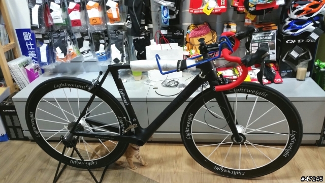 Lightweight Urgestalt 開箱完畢!