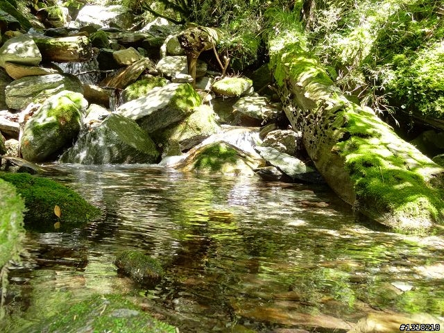 親子旅遊-向陽森林遊樂區(2)