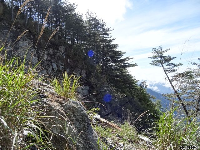 親子旅遊-向陽森林遊樂區(2)
