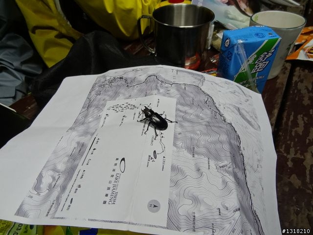 親子旅遊-向陽森林遊樂區(1)