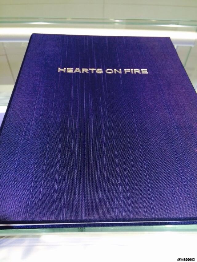 我與我的heart on fire