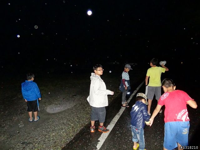 親子旅遊-向陽森林遊樂區(1)