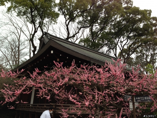 小薛~都是因為你啦!!!