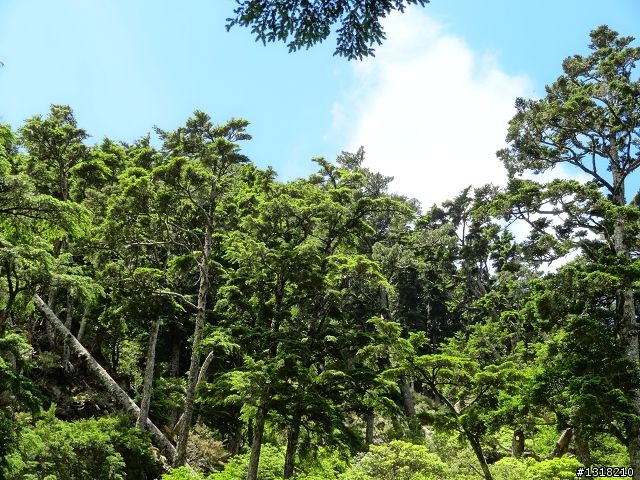 親子旅遊-向陽森林遊樂區(2)