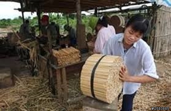 【分享】戰術級環保餐具 愛護地球 請使用環保餐具