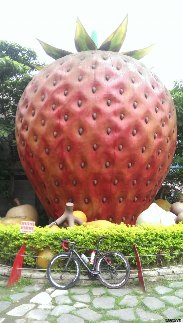 一個人的旅行-新竹直達台中大二元