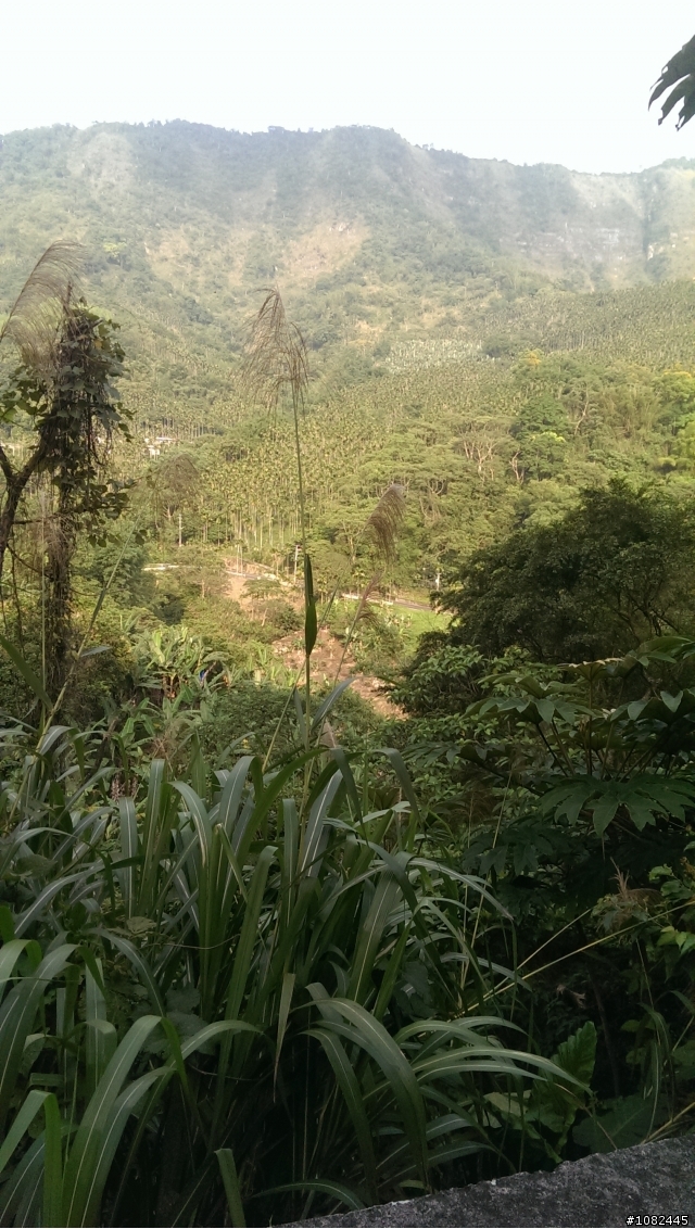一個人的旅行-新竹直達台中大二元