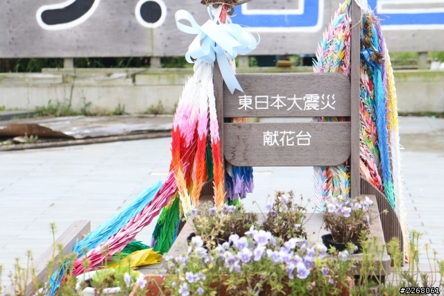 我的東日本見聞錄