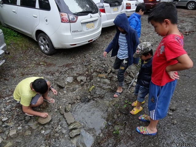 親子旅遊-向陽森林遊樂區(1)