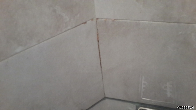 以後台灣預售屋交屋發現的缺點建商都可以不必修了