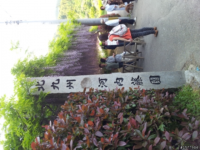 北九州八天七夜耍笨自駕遊(一)