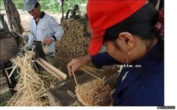 【分享】戰術級環保餐具 愛護地球 請使用環保餐具