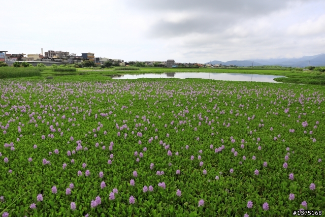 宜蘭好山好水