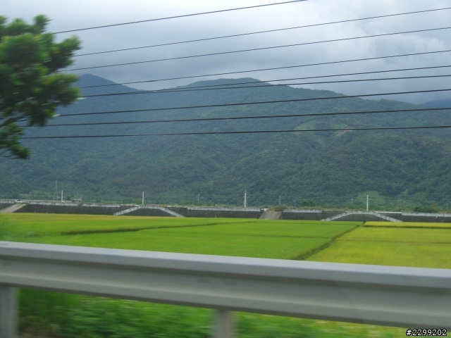 SKODA 試駕