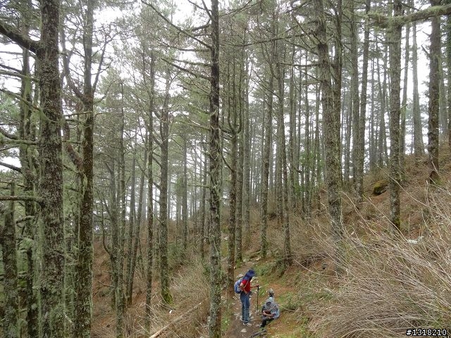 親子旅遊-向陽森林遊樂區(2)