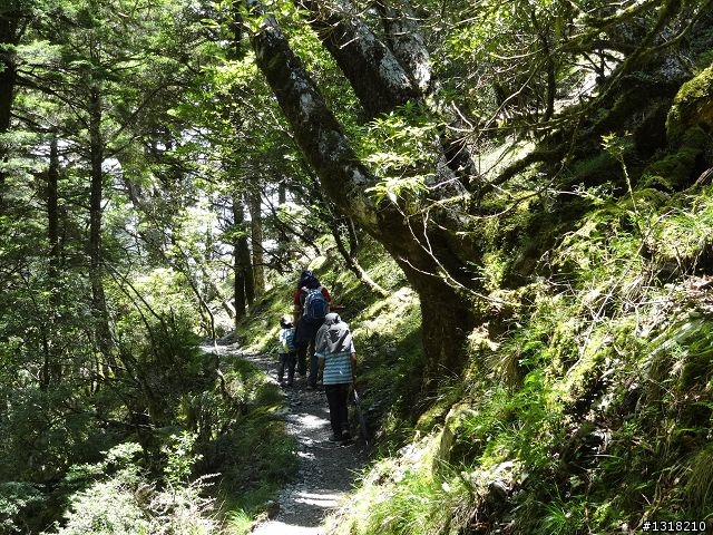 親子旅遊-向陽森林遊樂區(2)