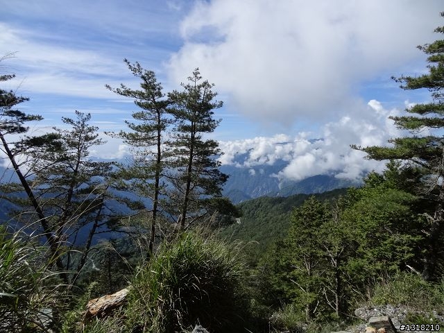 親子旅遊-向陽森林遊樂區(2)