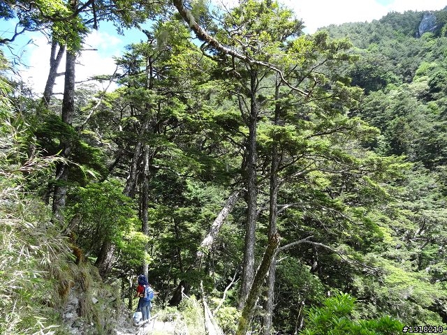 親子旅遊-向陽森林遊樂區(2)