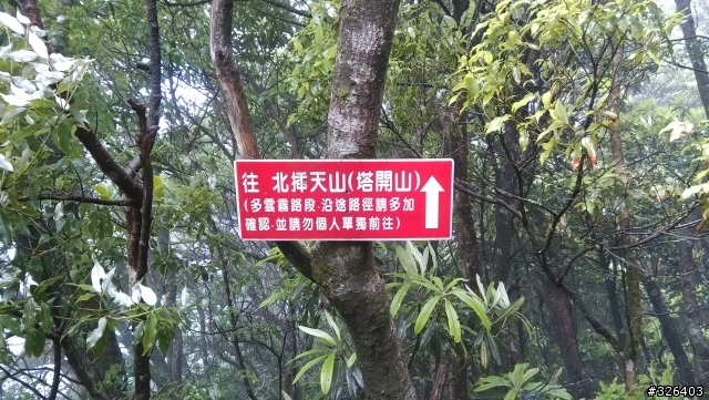 南插、魯培一日遊