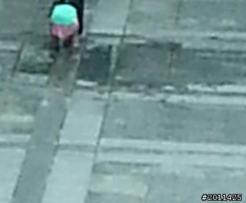 如果社區住戶的寵物是直接在中庭或地下室大小便,您看法是?