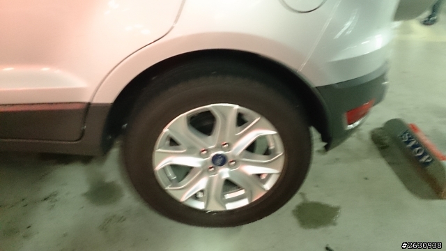 FORD ECOSPORT 甜心開團趣!!試駕心得分享