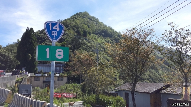 粉嶺族~激勵人心之武嶺奮鬥記