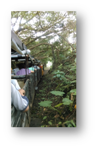 《和叮寧小黑蚊防蚊液去旅行》新北小旅行_平溪小旅行一日遊
