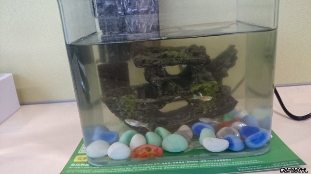新手求養魚心得