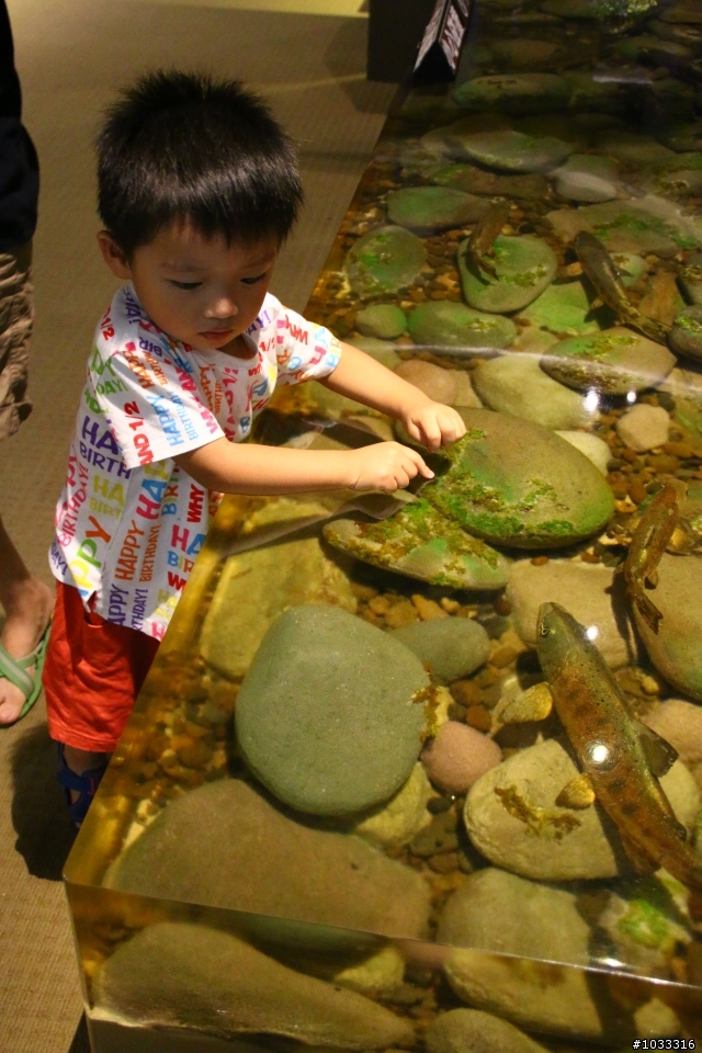 親子旅遊-台東墾丁之旅四天三夜分享(第三、四天7/3~7/4)