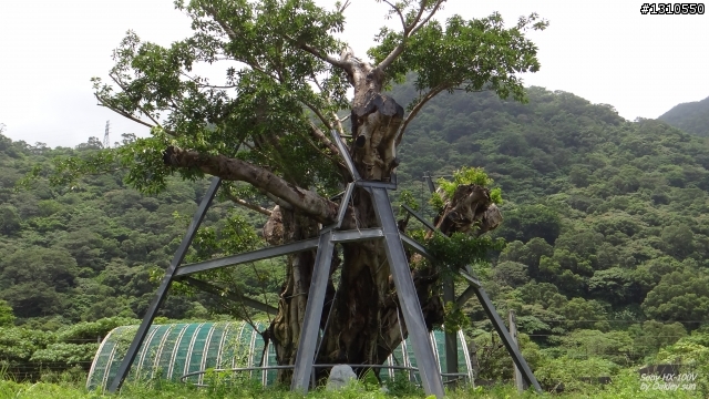 On the road again 台2線東北角全記錄