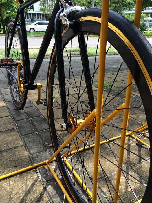 天生就是愛假掰之我與我的單速車