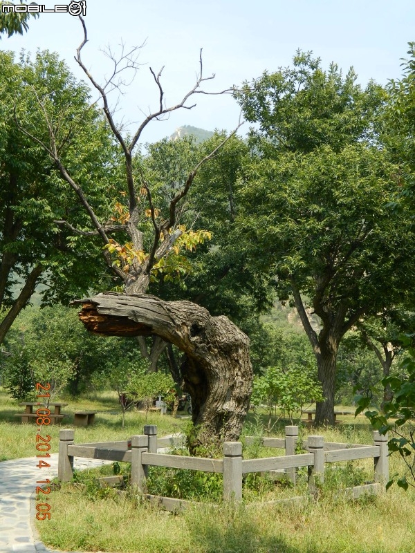 黃花城水長城 (西水峪)